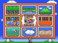 Mario and Wario